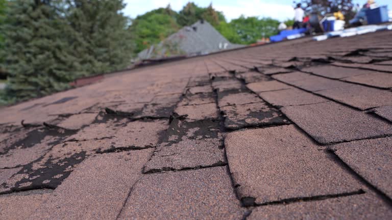 Best Cold Roofs  in North Browning, MT